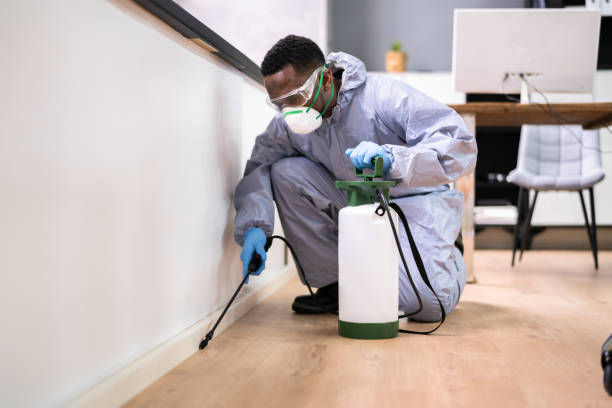 Best Pest Prevention Services  in Goodwell, OK